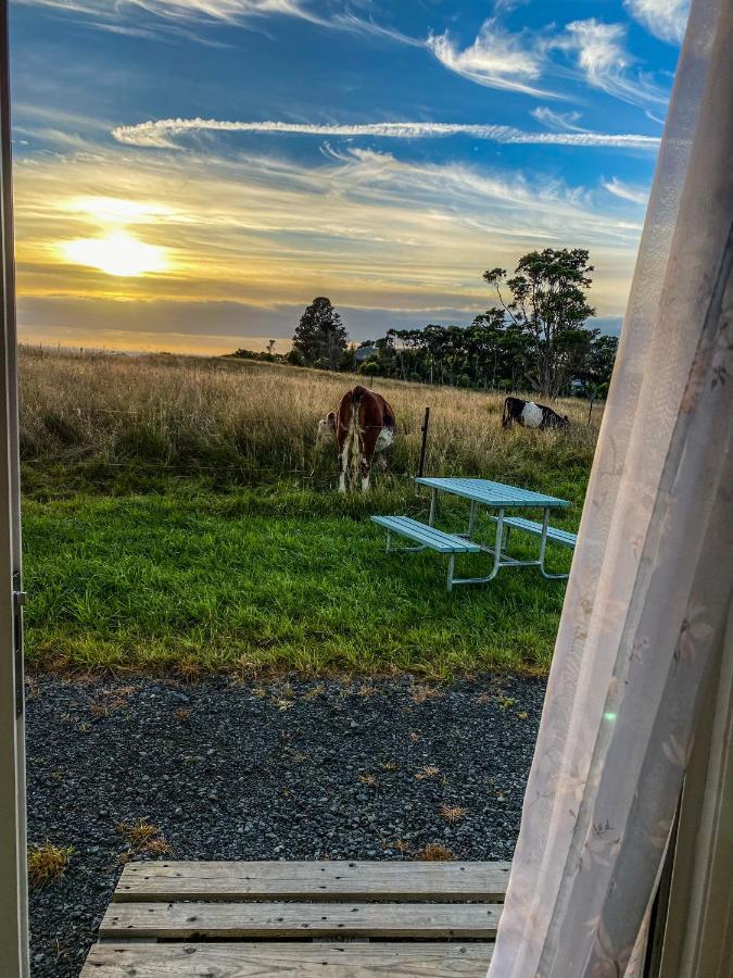 White Caps Kaikoura Farmstay 외부 사진