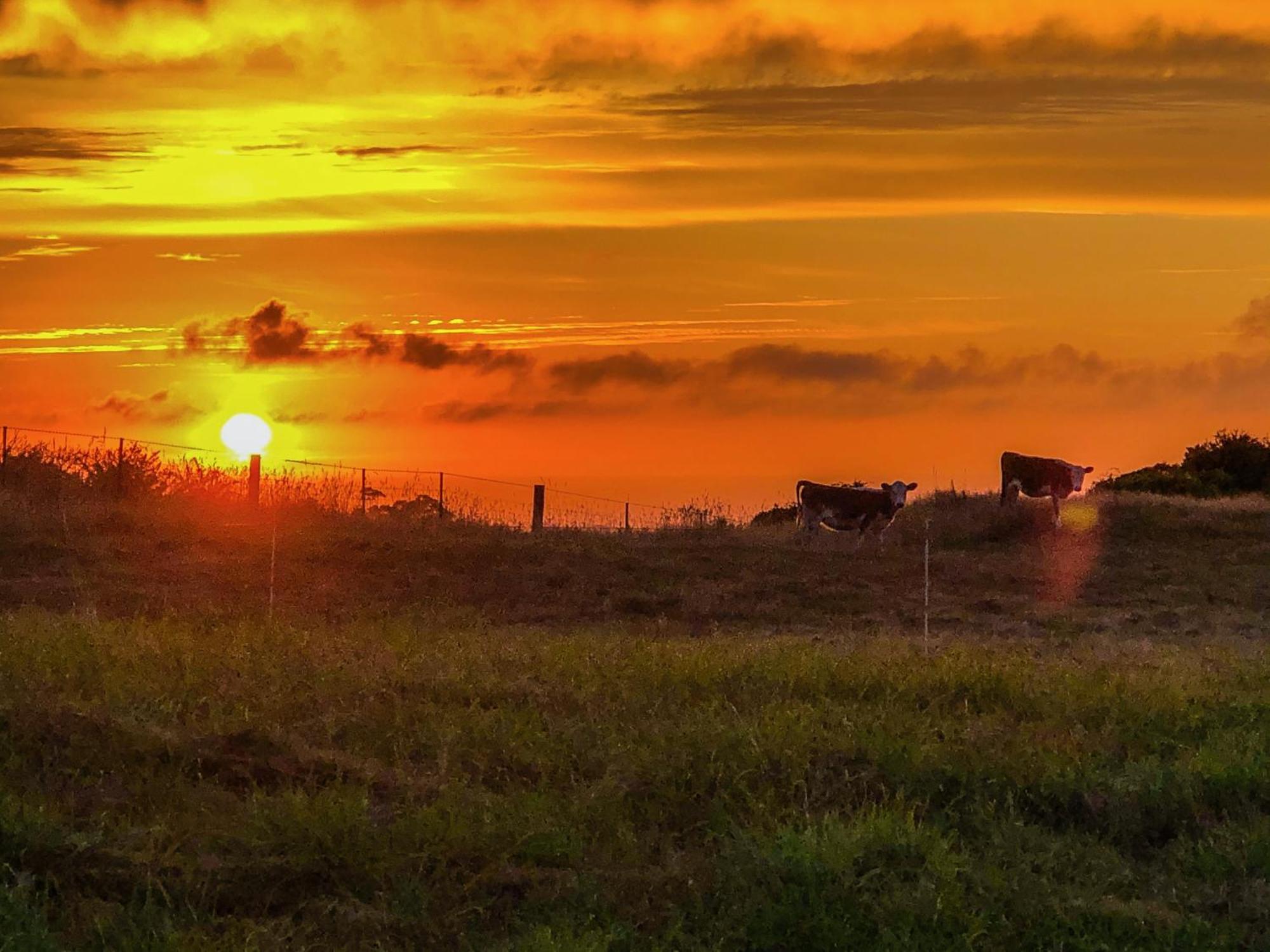 White Caps Kaikoura Farmstay 외부 사진